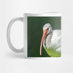 Close up of a  Ibis Mug